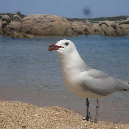 Bed & Breakfast Li Conchi *