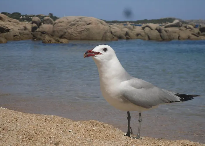 Bed & Breakfast Li Conchi *